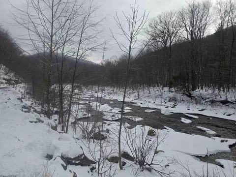 390 Dolly Ln, Dryfork, WV 26263 photo 22