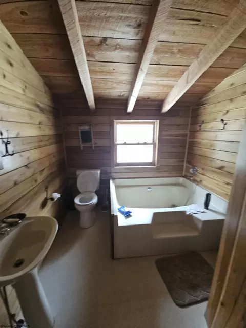 390 Dolly Ln, Dryfork, WV 26263 photo 17