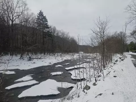 390 Dolly Ln, Dryfork, WV 26263 photo 21