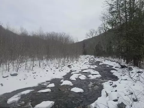 390 Dolly Ln, Dryfork, WV 26263 photo 26
