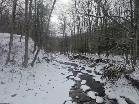 390 Dolly Ln, Dryfork, WV 26263 photo 29
