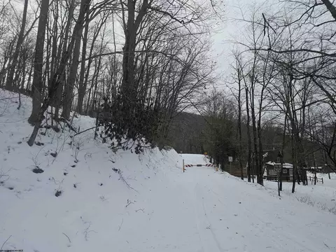 390 Dolly Ln, Dryfork, WV 26263 photo 27