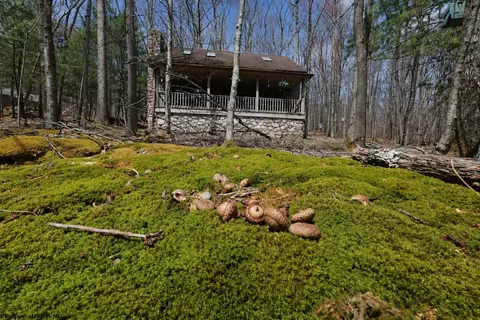 347 Windflower Dr #LOT S 129 & 130 BERN, Terra Alta, WV 26764