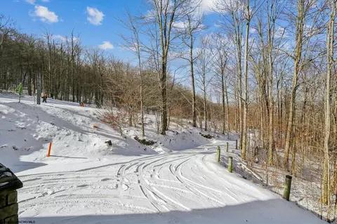 451 Brookside Rd #LOT 74 NORTHLAKE AND 3.52 ACRES , Davis, WV 26260 photo 44