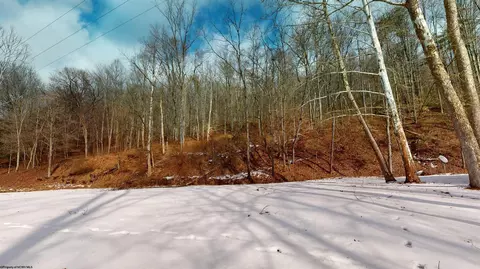 Other - 830 Beech Lick Rd, Horner, WV 26372 photo 23 of 29