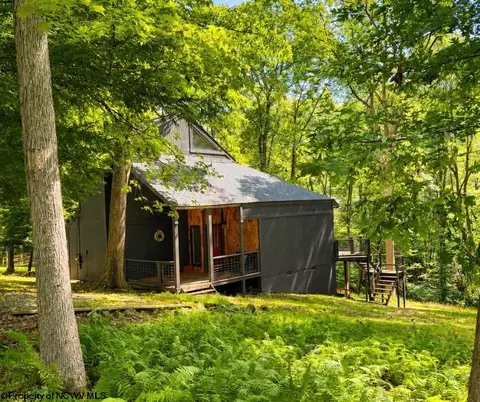 952 Rhododendron Dr, Terra Alta, WV 26764