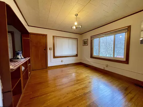 Living - 30 Camden Ave, Sutton, WV 26601 photo 3 of 5