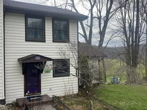 56 Baneberry Ln, Terra Alta, WV 26764