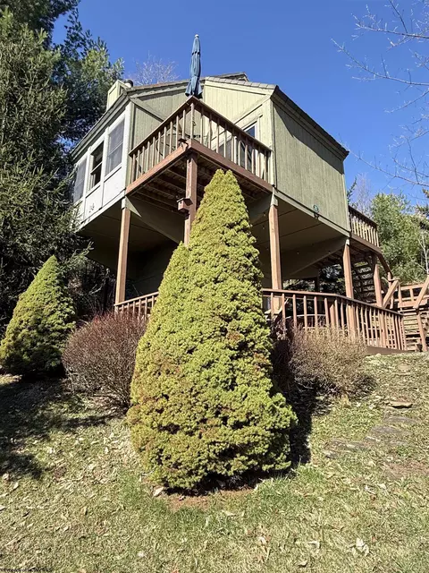 21 Bear Lair Ln, Davis, WV 26260
