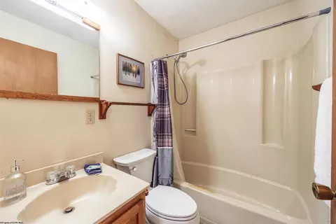 Bath - 48 Chickadee Dr, Davis, WV 26260 photo 1 of 2