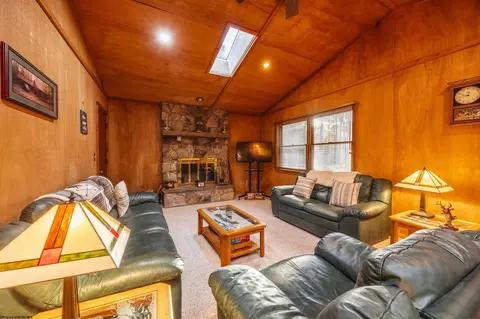 Living - 48 Chickadee Dr, Davis, WV 26260 photo 1 of 8