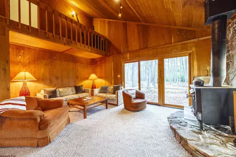 Living - 48 Chickadee Dr, Davis, WV 26260 photo 5 of 8