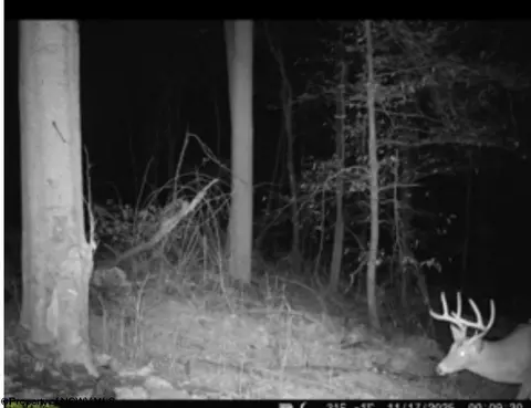 Other - 720 Fairview Rd, Independence, WV 26374 photo 26 of 30