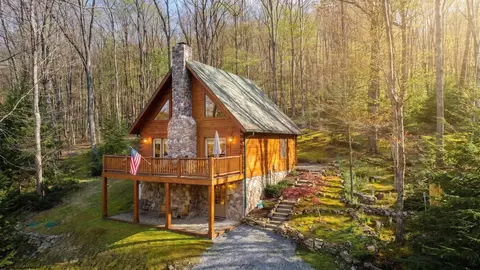 4502 Hileman Rd, Bruceton Mills, WV 26525