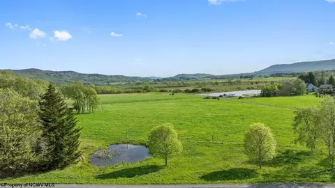 View/Area - 170 Jaybee Way, Davis, WV 26260 photo 3 of 3