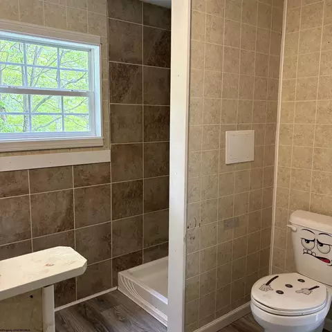 Bath - 24 Seventh St, Hendricks, WV 26271 photo 6 of 6