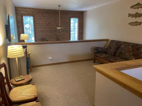 Living - 2524 Timberline Rd, Davis, WV 26260 photo 3 of 3