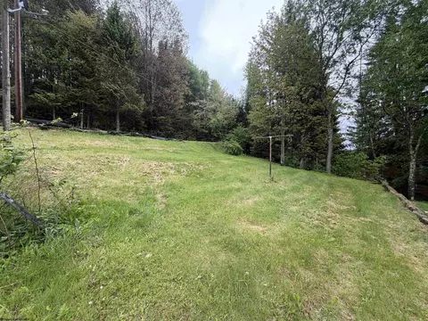 Exterior - 486 Spruce St, Thomas, WV 26292 photo 5 of 9