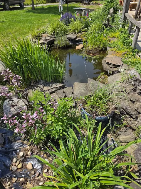 Other - 11575 Georgetown Rd, Beverly, WV 26253 photo 5 of 7
