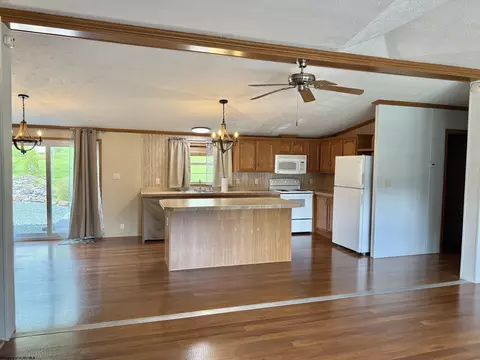Other - 44 Fifth St, Hendricks, WV 26271 photo 1 of 15