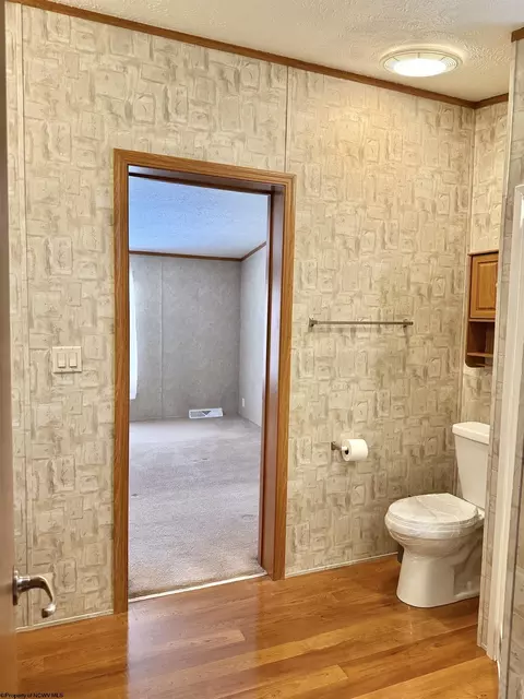 Bath - 44 Fifth St, Hendricks, WV 26271 photo 3 of 4