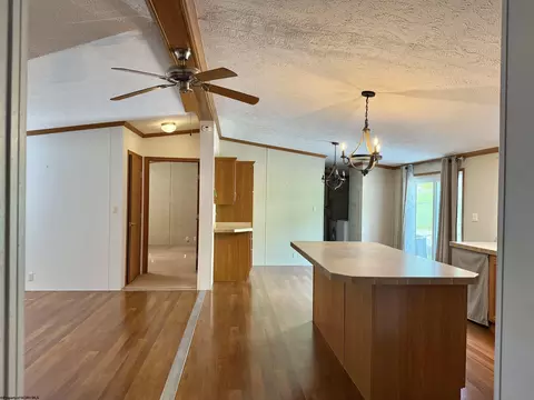 Other - 44 Fifth St, Hendricks, WV 26271 photo 2 of 15