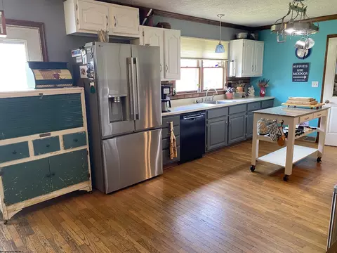 202 Pendleton Run Rd, Davis, WV 26260 photo 8