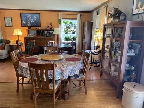 202 Pendleton Run Rd, Davis, WV 26260 photo 10
