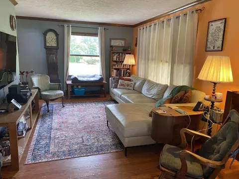 202 Pendleton Run Rd, Davis, WV 26260 photo 12