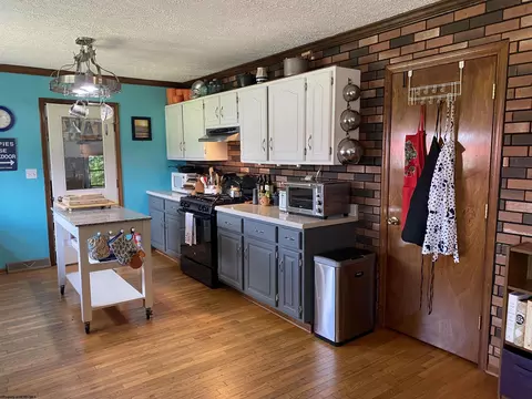 202 Pendleton Run Rd, Davis, WV 26260 photo 9