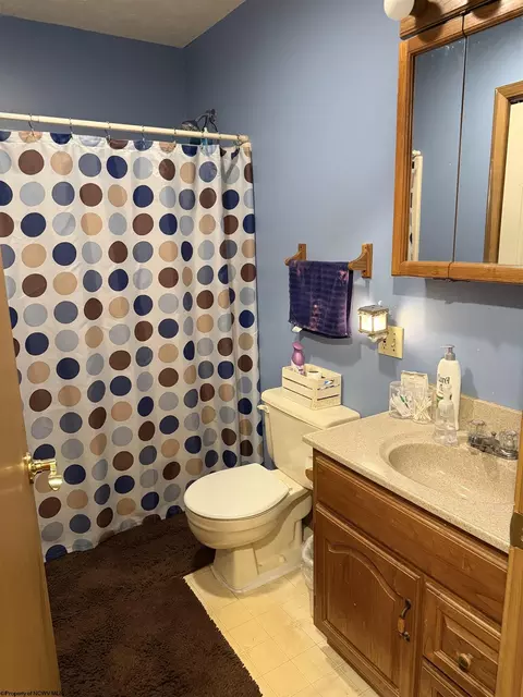 26 Macintosh Loop, Elkins, WV 26241 photo 13