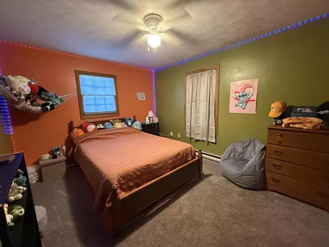 26 Macintosh Loop, Elkins, WV 26241 photo 12