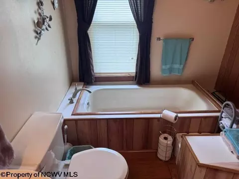 138 Brown St, Thomas, WV 26292 photo 43
