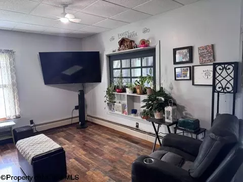 138 Brown St, Thomas, WV 26292 photo 37