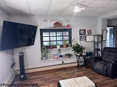 138 Brown St, Thomas, WV 26292 photo 36