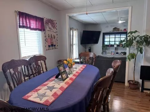 138 Brown St, Thomas, WV 26292 photo 32