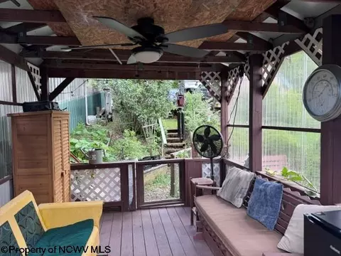 138 Brown St, Thomas, WV 26292 photo 13