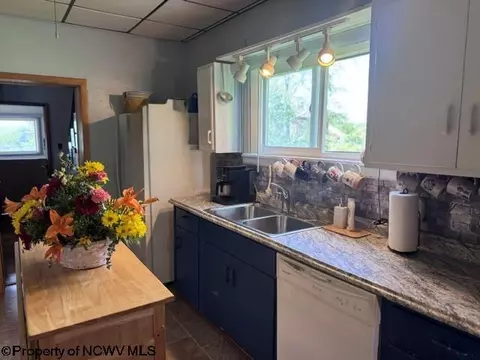 138 Brown St, Thomas, WV 26292 photo 27