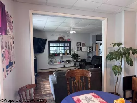 138 Brown St, Thomas, WV 26292 photo 33