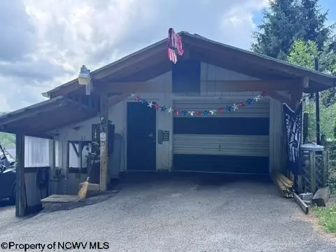 138 Brown St, Thomas, WV 26292 photo 9