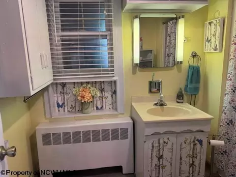 138 Brown St, Thomas, WV 26292 photo 41