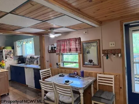 138 Brown St, Thomas, WV 26292 photo 25