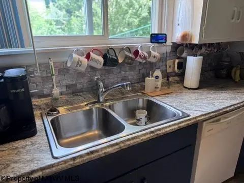 138 Brown St, Thomas, WV 26292 photo 28