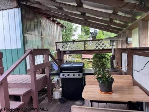 138 Brown St, Thomas, WV 26292 photo 23