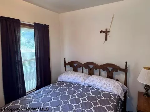138 Brown St, Thomas, WV 26292 photo 44