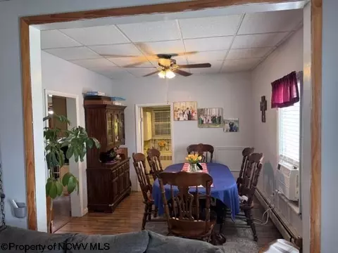 138 Brown St, Thomas, WV 26292 photo 39