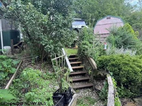 138 Brown St, Thomas, WV 26292 photo 18