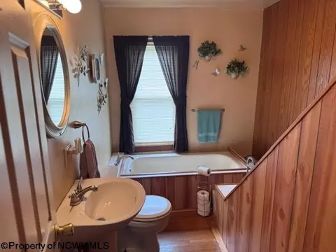 138 Brown St, Thomas, WV 26292 photo 42