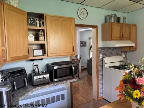 138 Brown St, Thomas, WV 26292 photo 29