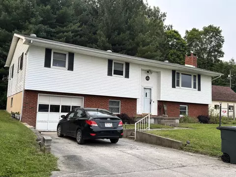 222 Lee St, Belington, WV 26250